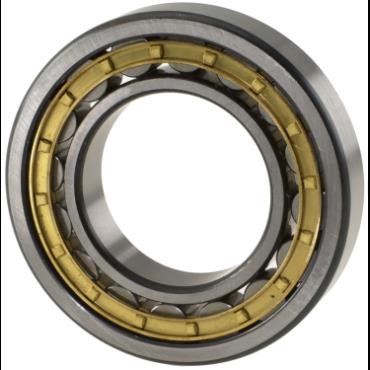 SCHAEFFLER GROUP NU1016-XL-M1