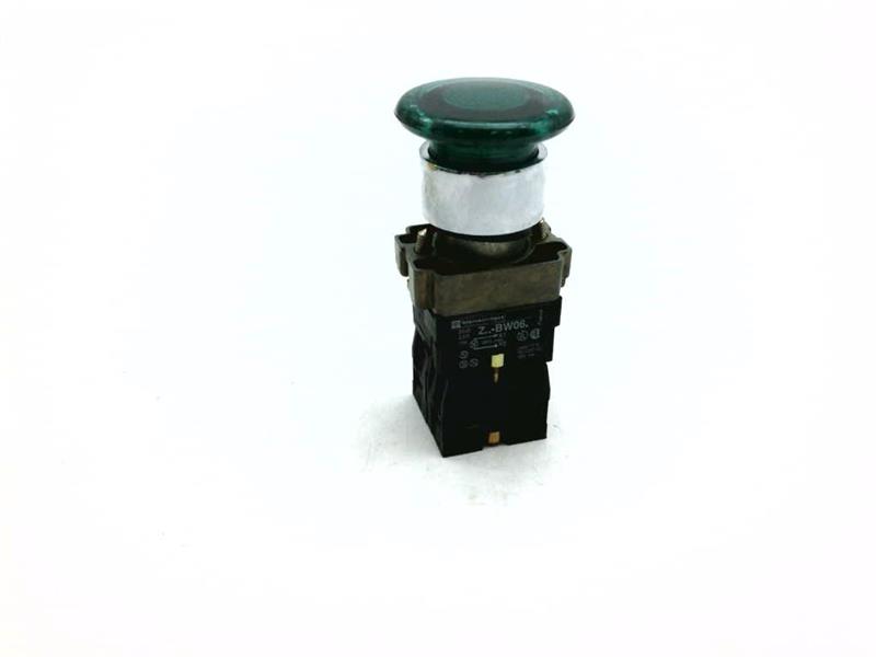 SCHNEIDER ELECTRIC XB2BN3261