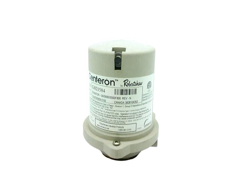 ROBERTSHAW GM060EI0000F800