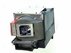 RADWELL VERIFIED SUBSTITUTE GX-318-SUB (LAMP & HOUSING)