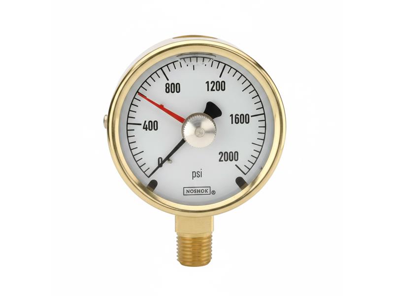 25-300-15-PSI/KG/CM2-BFF-MIP-BT8-CC por NOSHOK