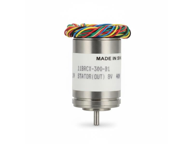 DYNAPAR 11BRCX-300-B1