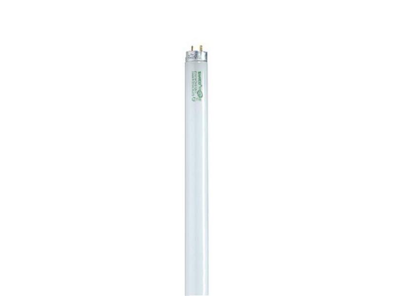 SATCO S8443