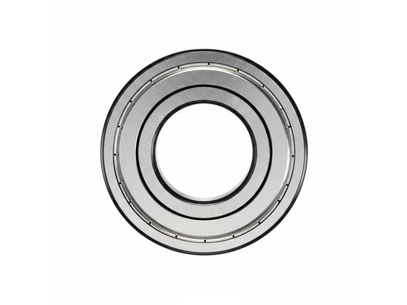 SCHAEFFLER GROUP 6007-C-2Z-L038-C3