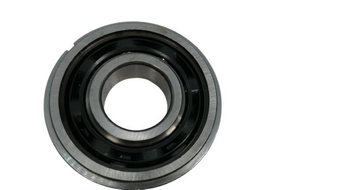 SKF 306SG