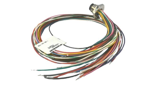 TURCK BSFD 19-19-0.5/M18
