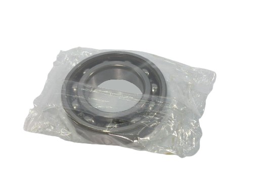SKF 6006-RS1