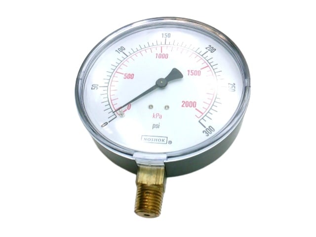 40-100-300-PSI/KPA-1/4-MIP by NOSHOK