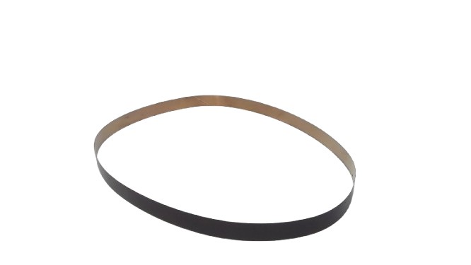 WATLOW BA117100