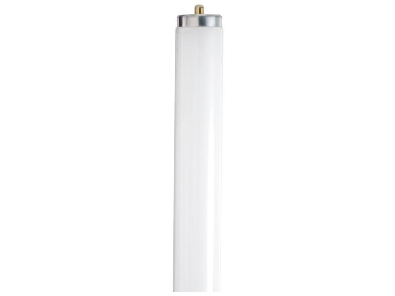 SATCO S6543