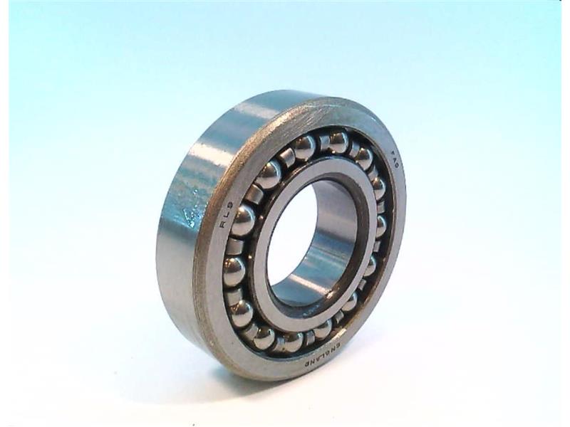 SCHAEFFLER GROUP RL-9