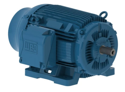 07518ET3E365T-W22G by WEG