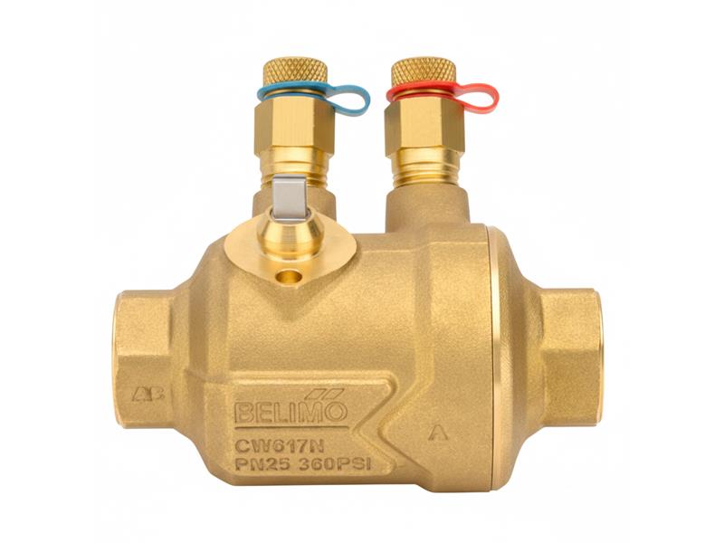 Z2050QPT-B+CQKB24-RR par BELIMO