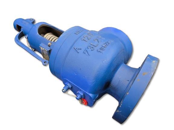 SPIRAX SARCO SV73IL608