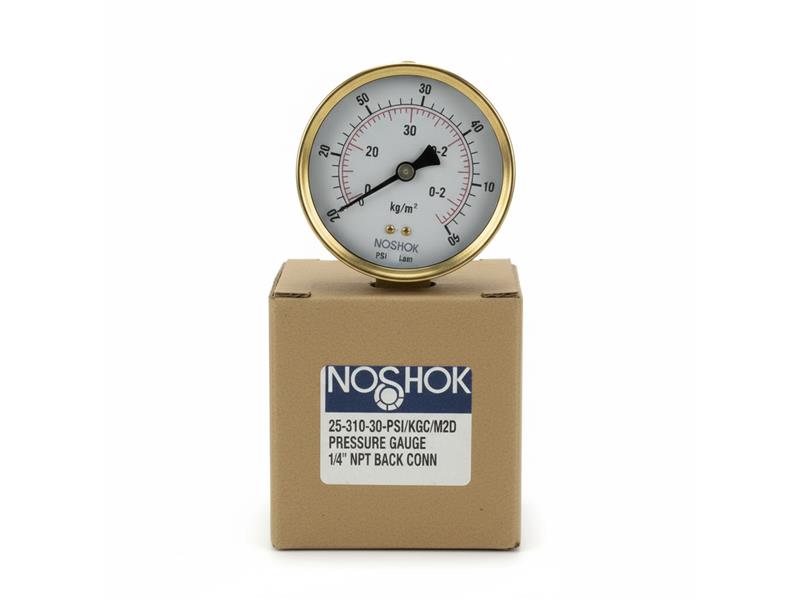 25-310-30-PSI/KGC/M2D por NOSHOK