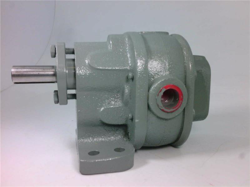 BSM PUMP 713-2-1