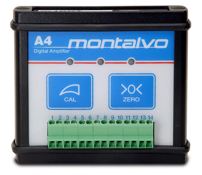 MONTALVO 11000601