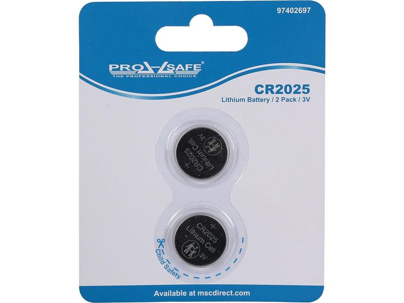 PRO SAFE INC CR2025-2