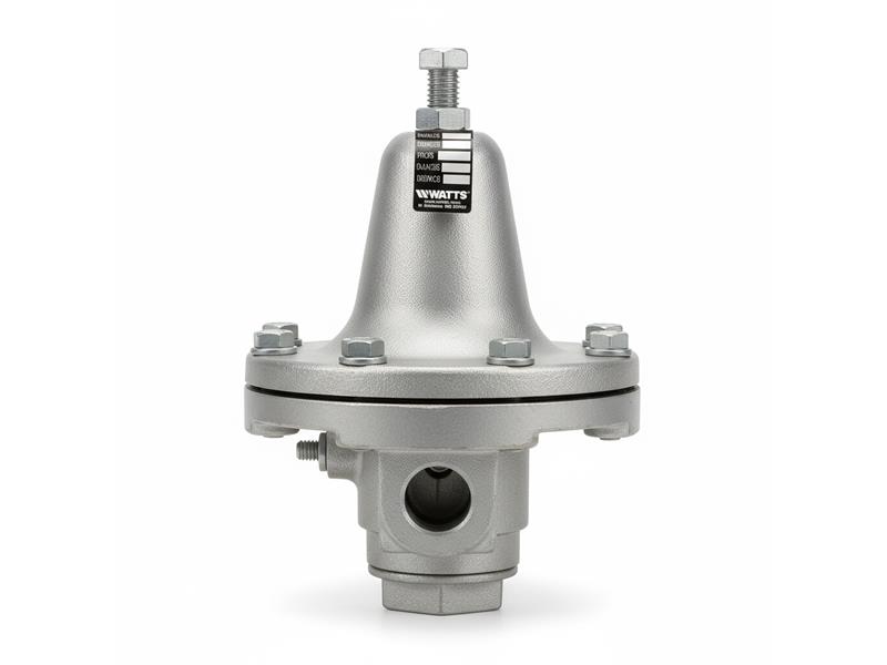WATTS 0830928