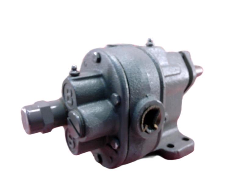 713-3-9 by BSM PUMP