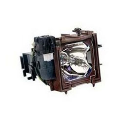 RADWELL VERIFIED SUBSTITUTE 456-229-SUB (LAMP & HOUSING)