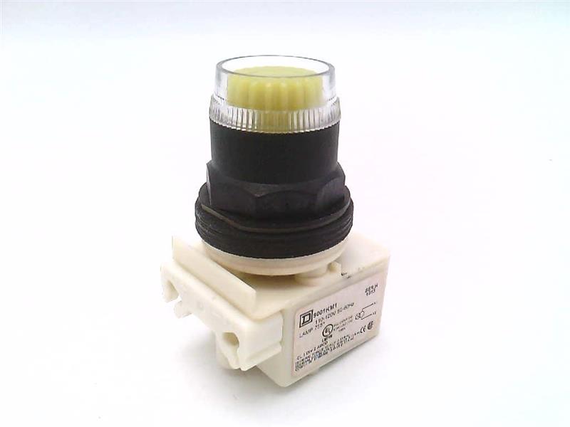 SCHNEIDER ELECTRIC 9001-SK1L1Y