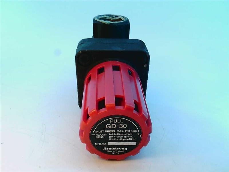 ARMSTRONG GD-30-1-NPT