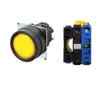 A22NL-BNM-TYA-G100-YC par OMRON