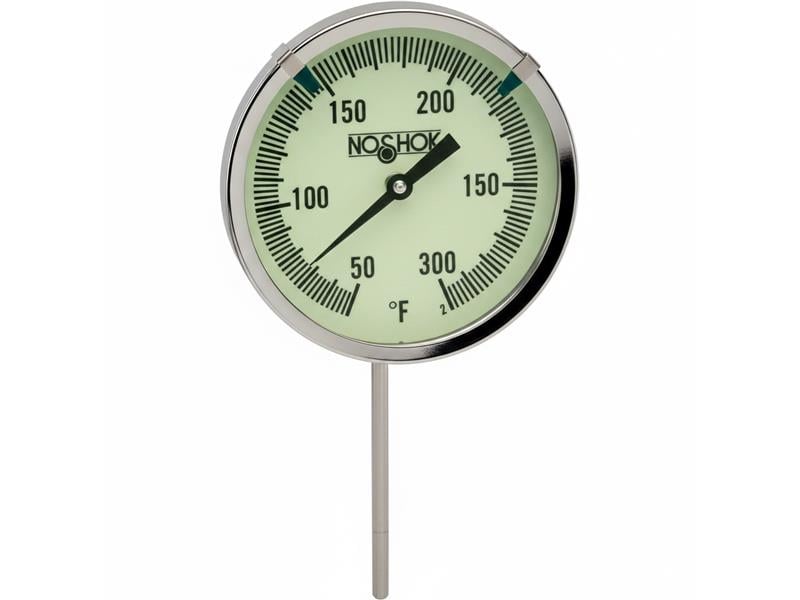 300H-1-1-145/1750-96-SP par NOSHOK