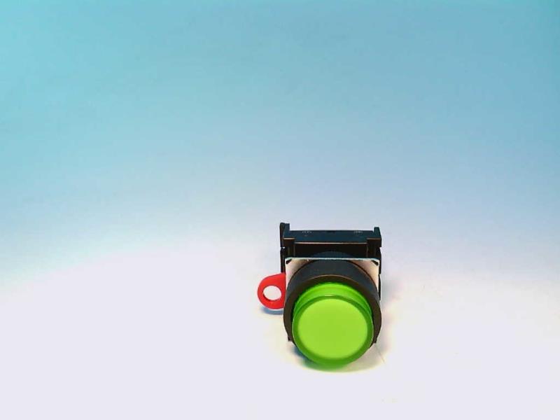 OMRON A22L-TG-T1-10M