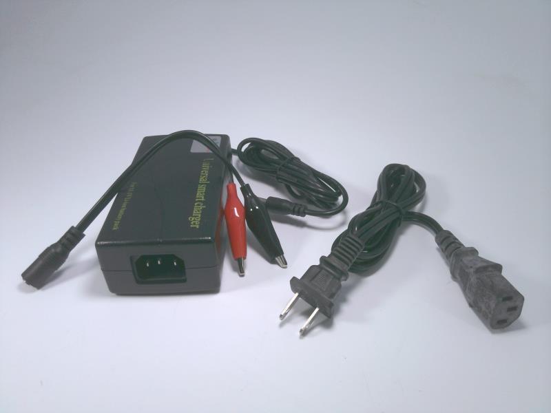 AA PORTABLE POWER CORP CH-L1118