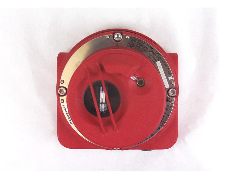 GENERAL MONITORS INC FL3100-1-5-1-3-1-1-1