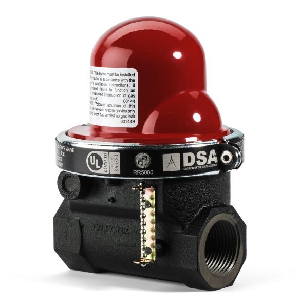 PSP PRODUCTS INC VT303