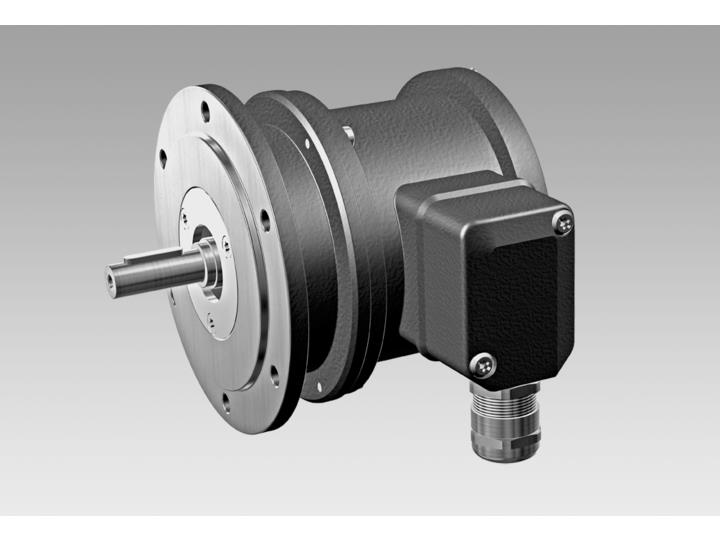 BAUMER ELECTRIC 11094375