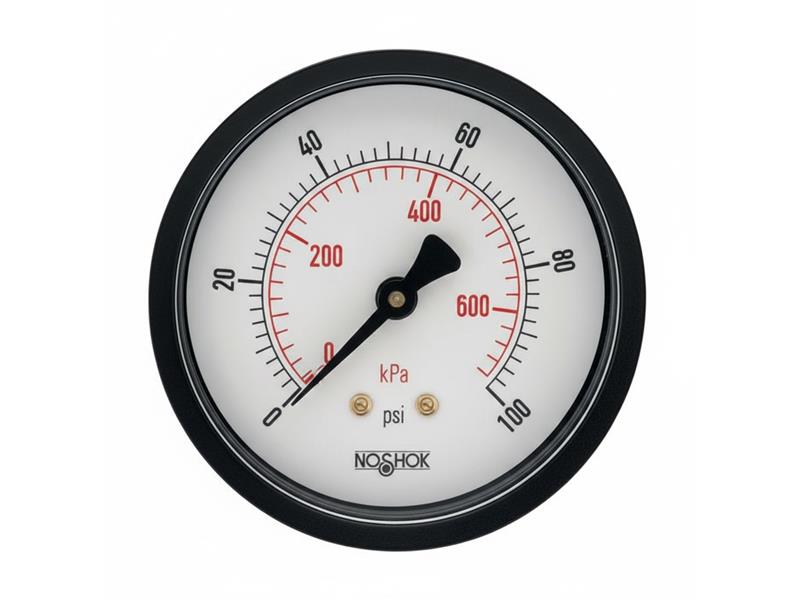25-110-100-PSI/KPA-SSB-CC par NOSHOK
