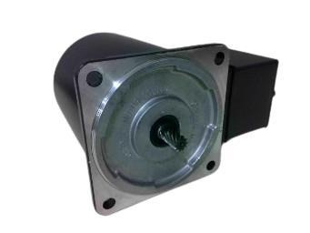 ORIENTAL MOTOR 5IK40GN-ECH