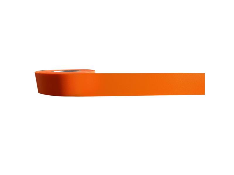 PRO SAFE INC FT-41316150ORG