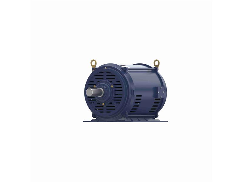 REGAL REXNORD 284TTDBD6039