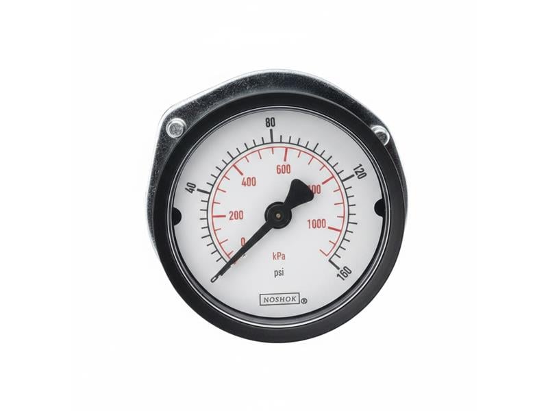 15-110-300-PSI/KG/CM2-CC par NOSHOK