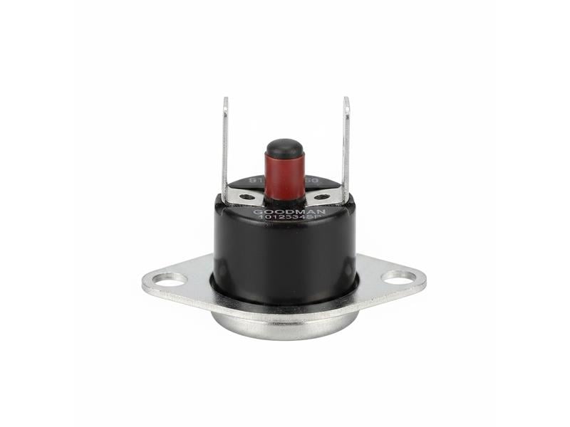 GOODMAN 10123534SP