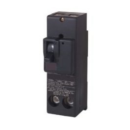 SIEMENS QN2175H