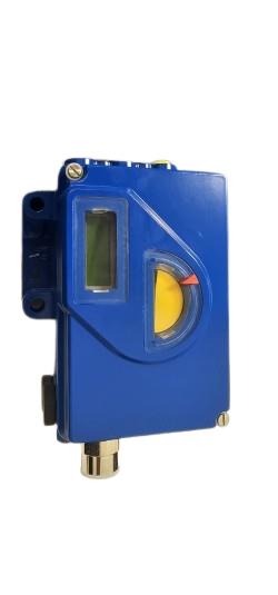 SCHNEIDER ELECTRIC SRD991-BQNS6FAANR-FF16V02