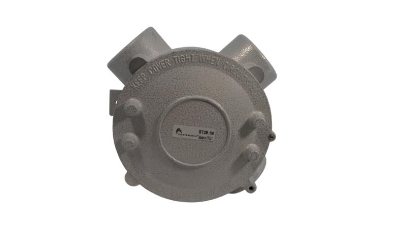 CORTEM GROUP ST29.1N