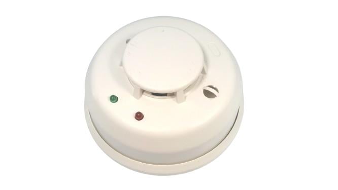 DMP CORPORATION 1164-W