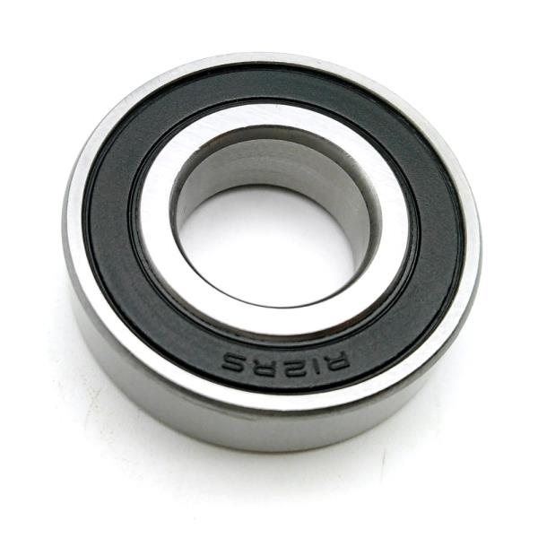 EZO R12RS