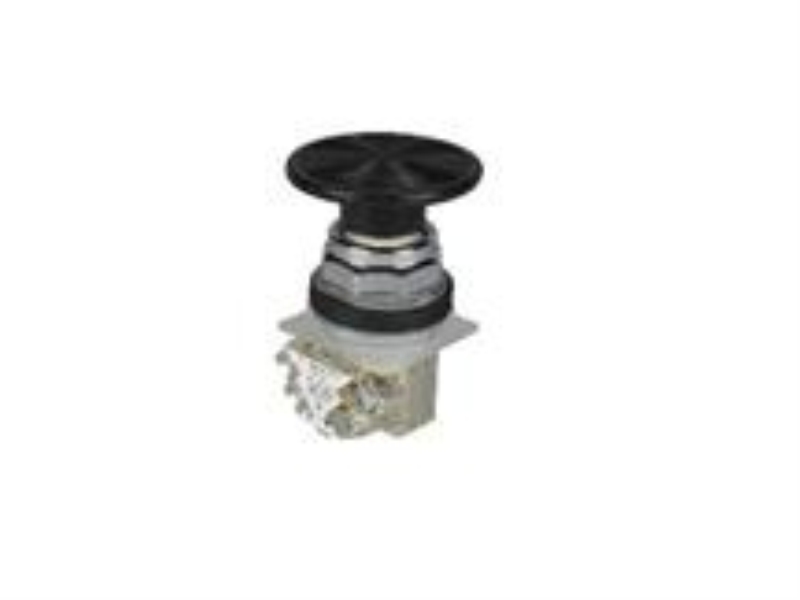 SCHNEIDER ELECTRIC 9001KR25BH13