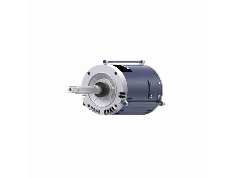 REGAL REXNORD 145TTDBD6046