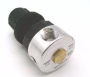 WILKERSON PNEUMATIC R374-02CP/N