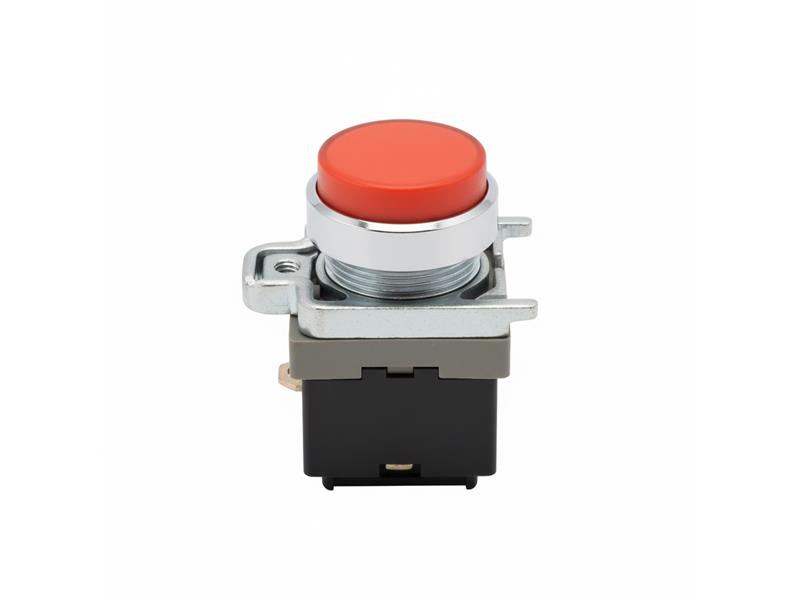 SCHNEIDER ELECTRIC XB4BW14G5