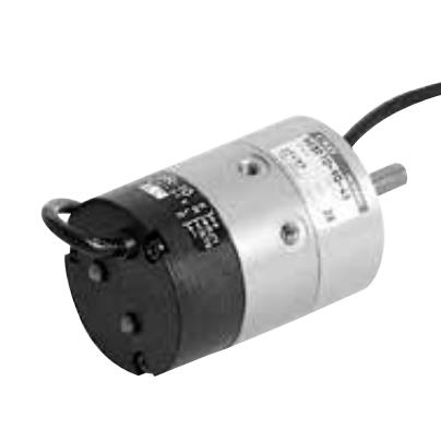 CKD CORP RV3S30-180-45